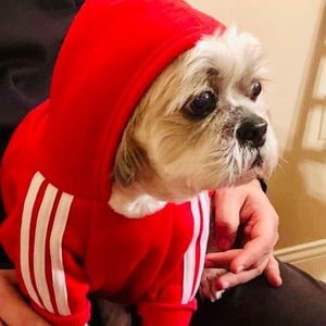 Meet your Posher, Jackie